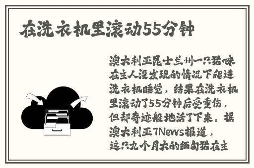 饥荒老太太好玩吗视频中国版
